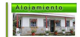 alojamiento